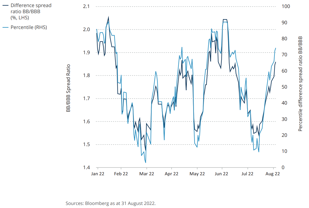 chart-5.jpg